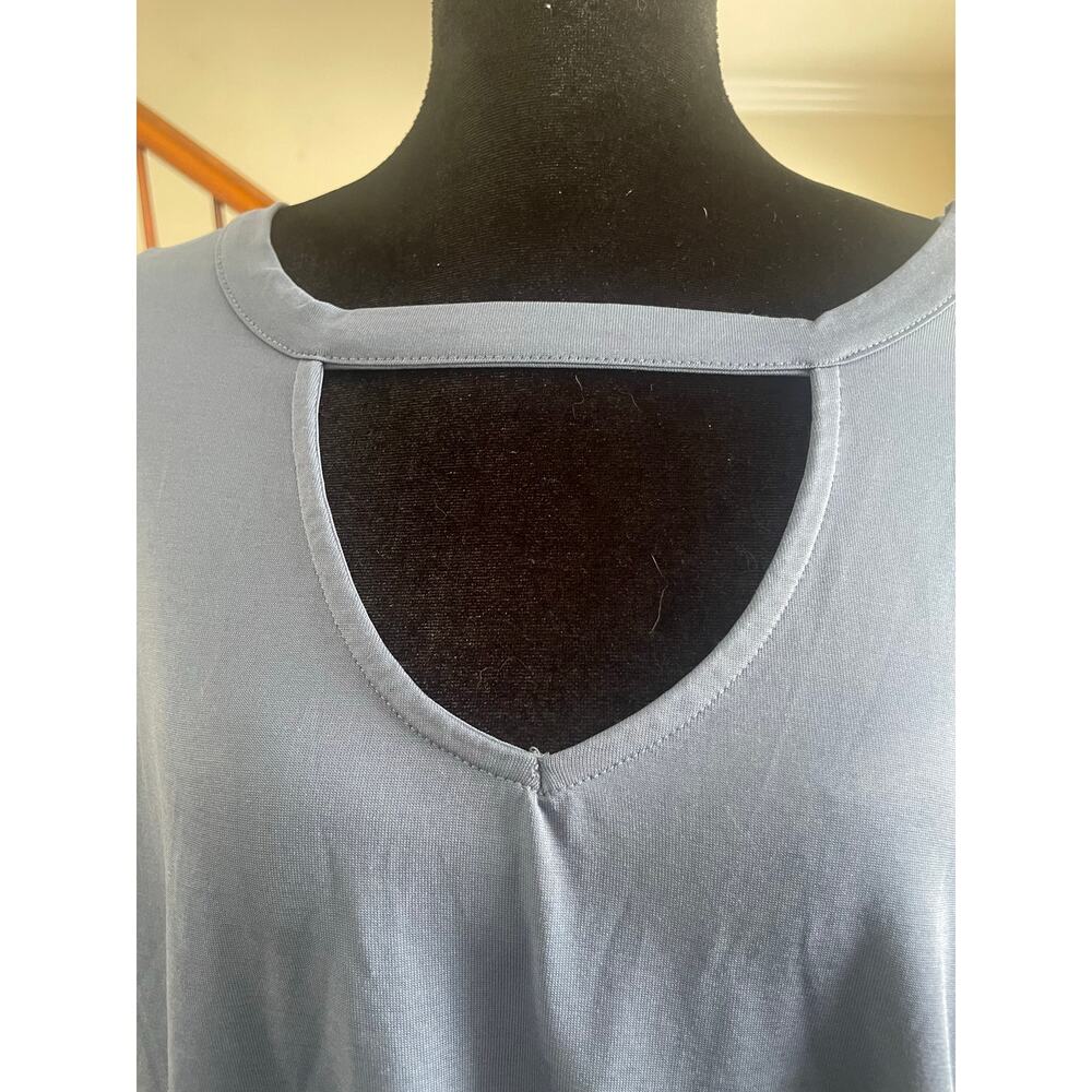 Terra & Sky Ruffled Short Sleeve Top 2X